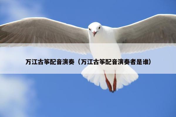 万江古筝配音演奏（万江古筝配音演奏者是谁）