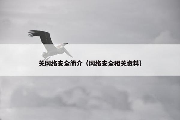 关网络安全简介（网络安全相关资料）