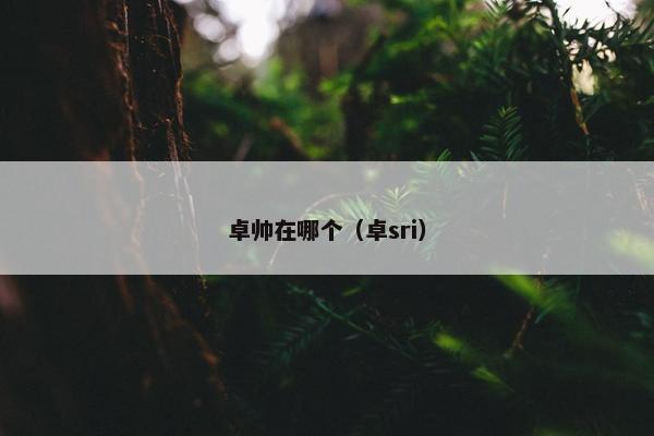 卓帅在哪个（卓sri）