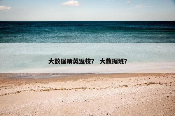 大数据精英返校？ 大数据班？
