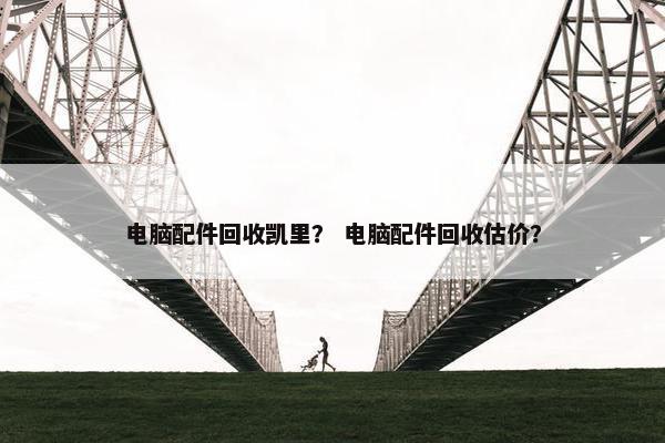 电脑配件回收凯里？ 电脑配件回收估价？