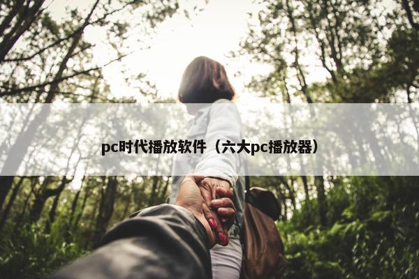 pc时代播放软件（六大pc播放器）