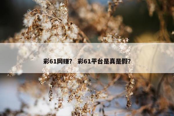 彩61网赚？ 彩61平台是真是假？