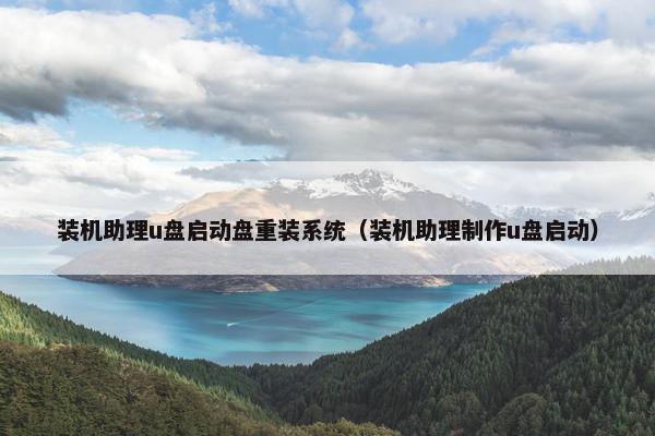 装机助理u盘启动盘重装系统（装机助理制作u盘启动）