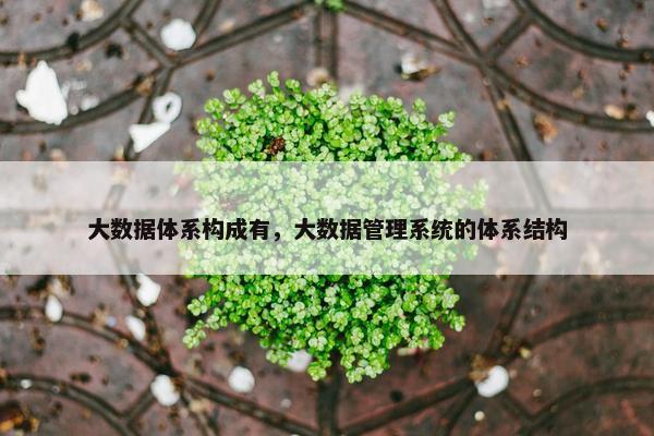 大数据体系构成有，大数据管理系统的体系结构