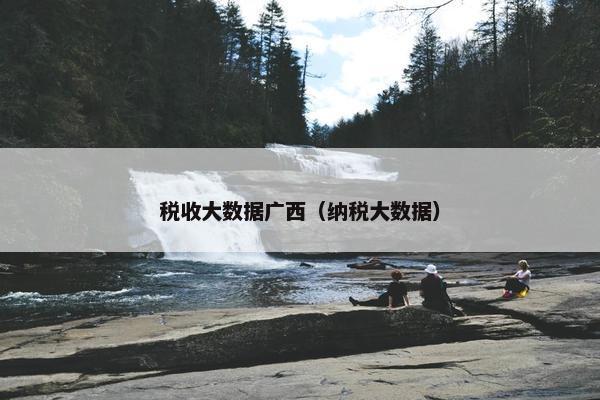 税收大数据广西（纳税大数据）