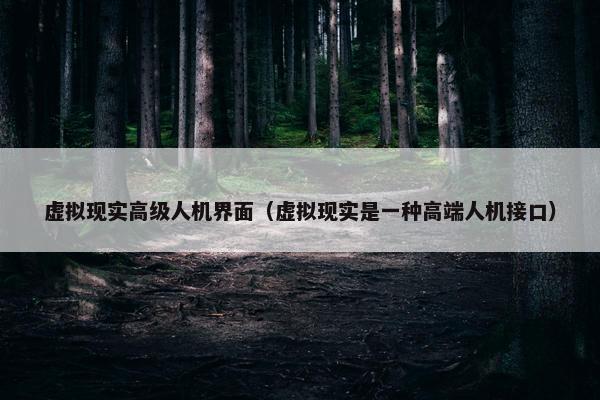虚拟现实高级人机界面（虚拟现实是一种高端人机接口）