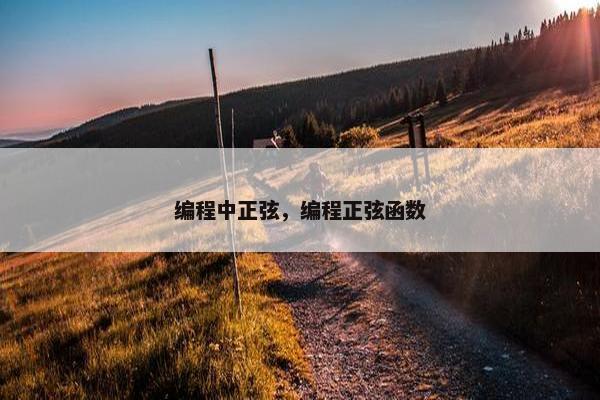 编程中正弦，编程正弦函数