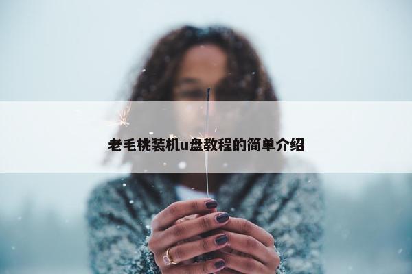 老毛桃装机u盘教程的简单介绍