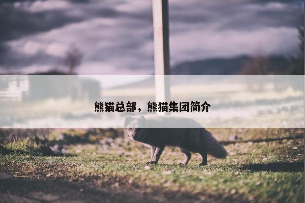 熊猫总部，熊猫集团简介