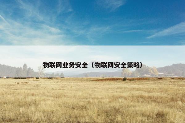 物联网业务安全（物联网安全策略）