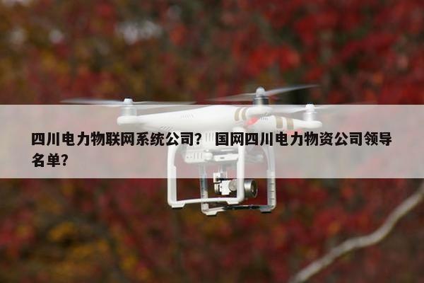 四川电力物联网系统公司？ 国网四川电力物资公司领导名单？
