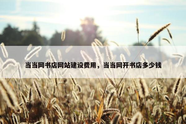 当当网书店网站建设费用，当当网开书店多少钱