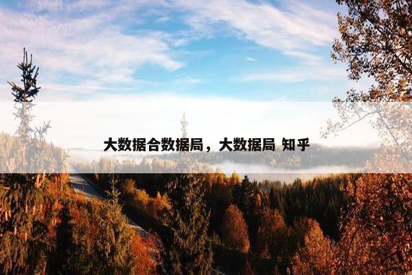 大数据合数据局，大数据局 知乎