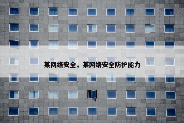 某网络安全，某网络安全防护能力