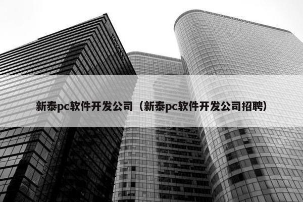 新泰pc软件开发公司（新泰pc软件开发公司招聘）