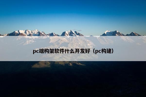 pc端构架软件什么开发好（pc构建）