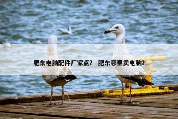 肥东电脑配件厂家点？ 肥东哪里卖电脑？