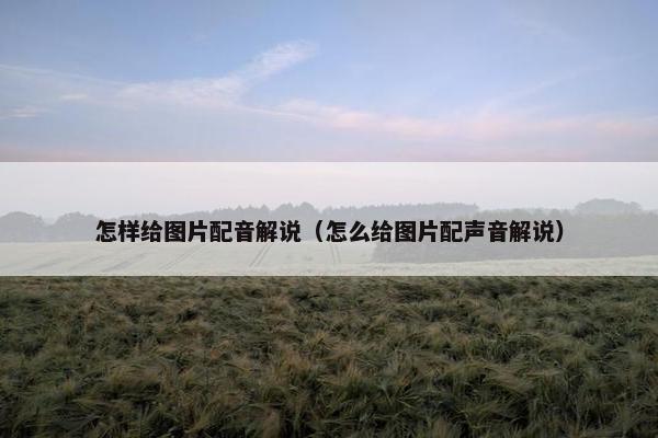 怎样给图片配音解说（怎么给图片配声音解说）
