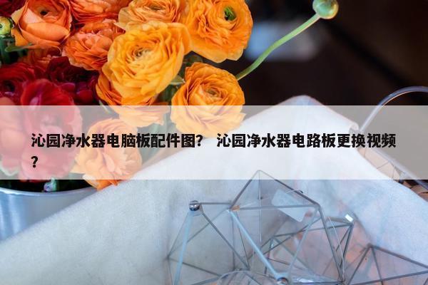 沁园净水器电脑板配件图？ 沁园净水器电路板更换视频？