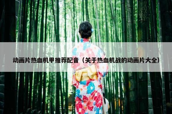 动画片热血机甲推荐配音（关于热血机战的动画片大全）