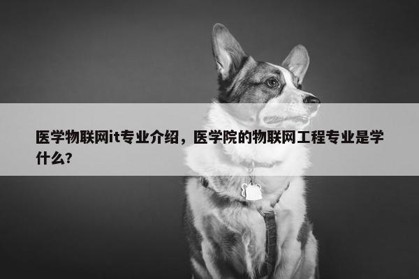 医学物联网it专业介绍，医学院的物联网工程专业是学什么?