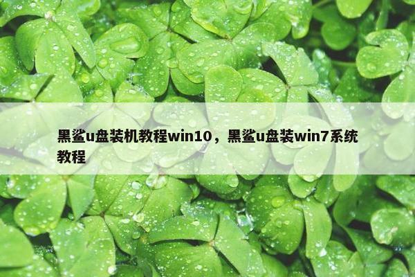 黑鲨u盘装机教程win10，黑鲨u盘装win7系统教程