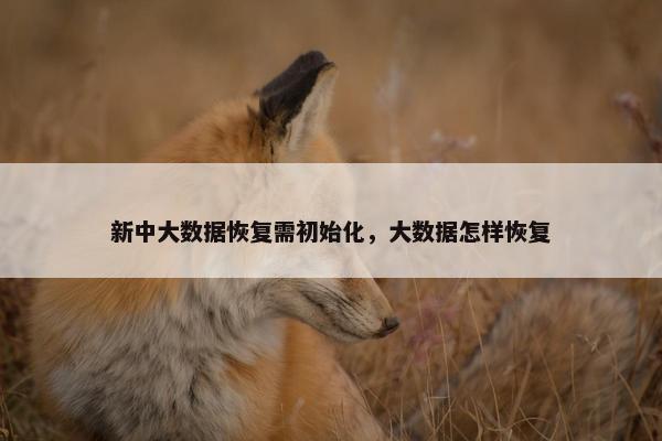 新中大数据恢复需初始化，大数据怎样恢复