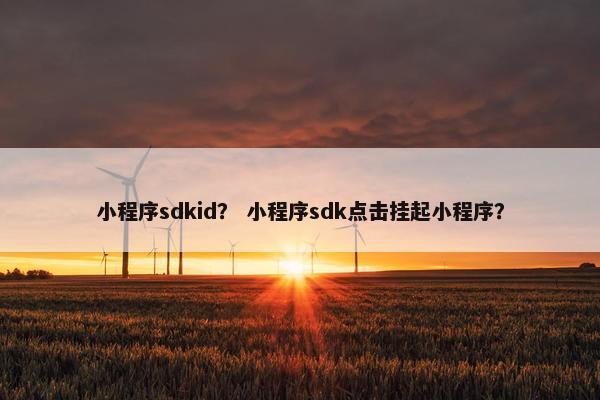 小程序sdkid？ 小程序sdk点击挂起小程序？