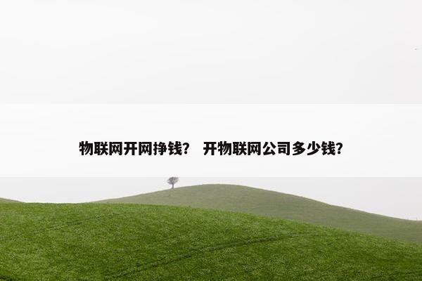 物联网开网挣钱？ 开物联网公司多少钱？