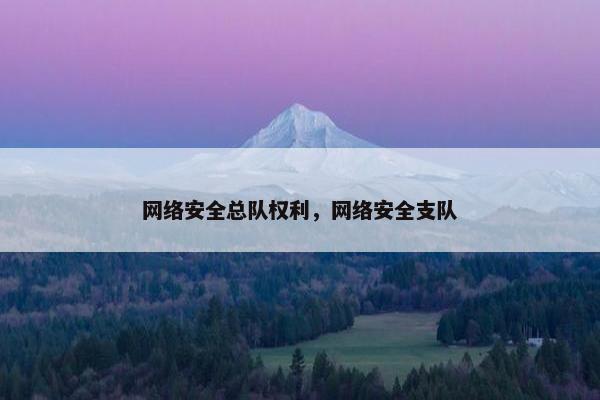 网络安全总队权利，网络安全支队