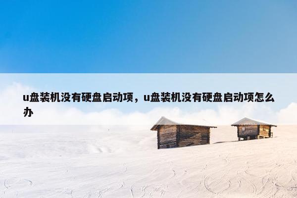 u盘装机没有硬盘启动项，u盘装机没有硬盘启动项怎么办