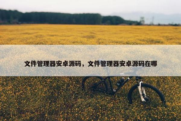 文件管理器安卓源码，文件管理器安卓源码在哪