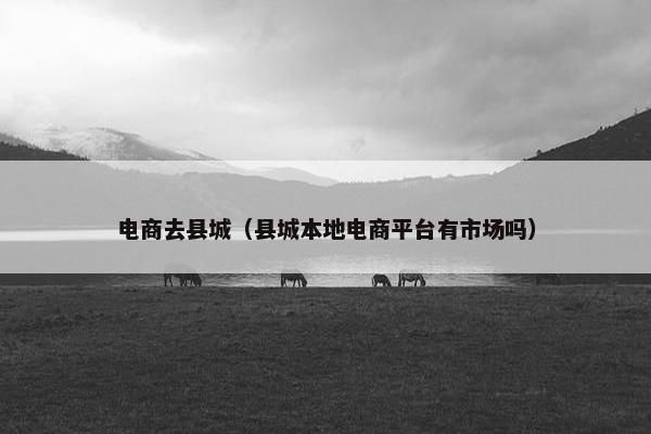 电商去县城（县城本地电商平台有市场吗）