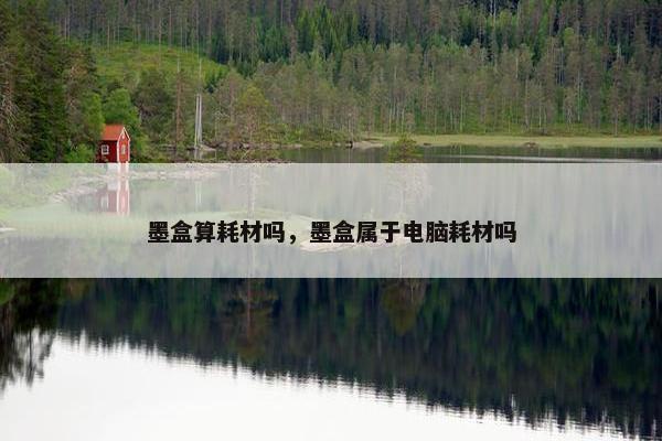 墨盒算耗材吗，墨盒属于电脑耗材吗