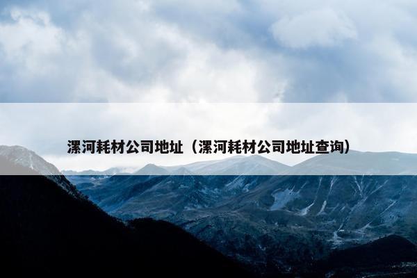 漯河耗材公司地址（漯河耗材公司地址查询）