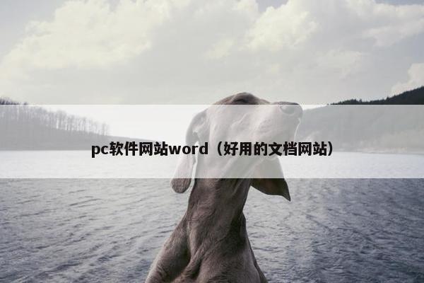pc软件网站word（好用的文档网站）