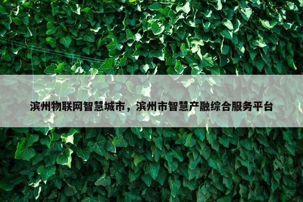 滨州物联网智慧城市，滨州市智慧产融综合服务平台