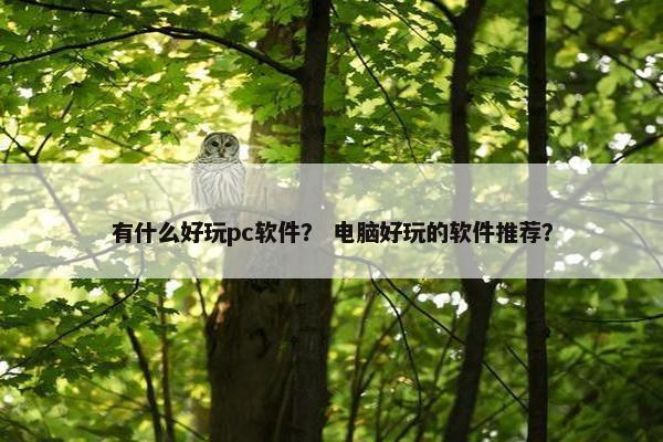 有什么好玩pc软件？ 电脑好玩的软件推荐？