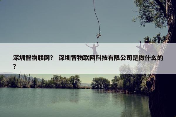 深圳智物联网？ 深圳智物联网科技有限公司是做什么的？