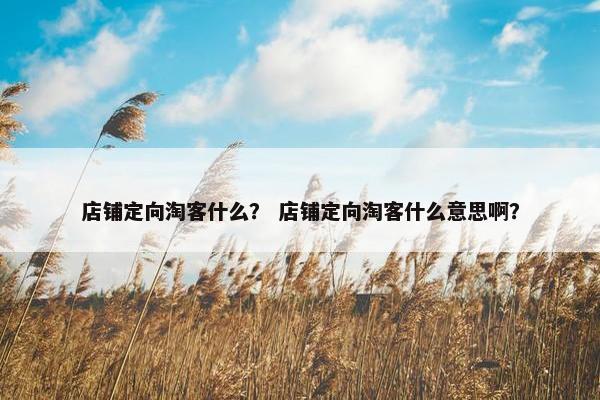 店铺定向淘客什么？ 店铺定向淘客什么意思啊？