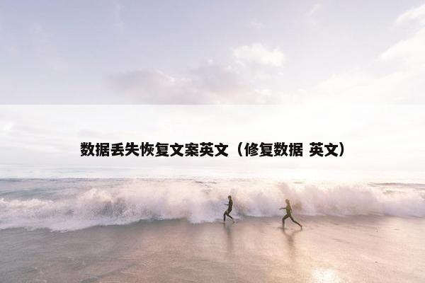 数据丢失恢复文案英文（修复数据 英文）
