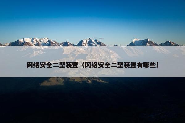 网络安全二型装置（网络安全二型装置有哪些）