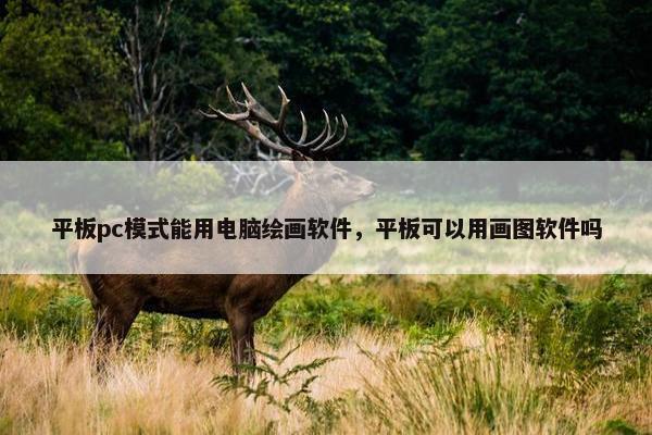 平板pc模式能用电脑绘画软件，平板可以用画图软件吗