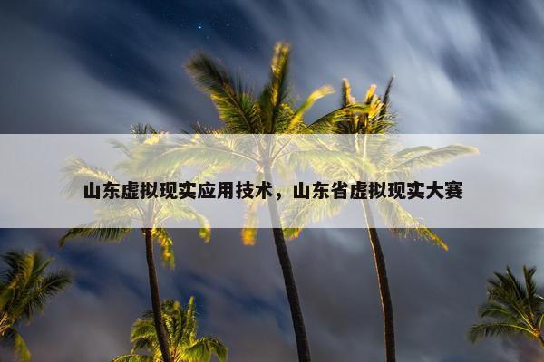 山东虚拟现实应用技术，山东省虚拟现实大赛