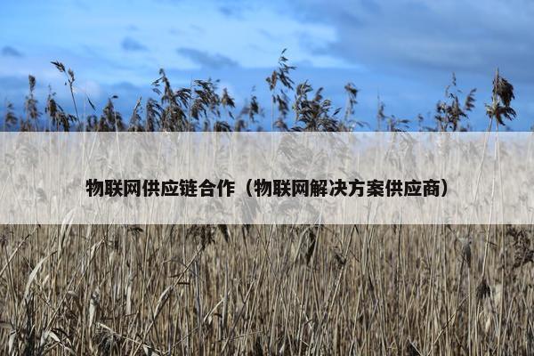 物联网供应链合作（物联网解决方案供应商）