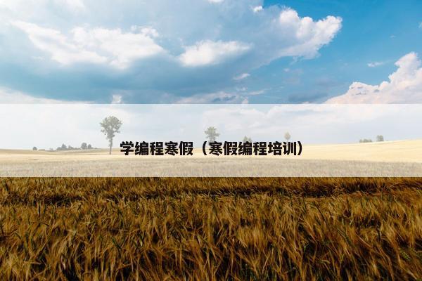 学编程寒假（寒假编程培训）