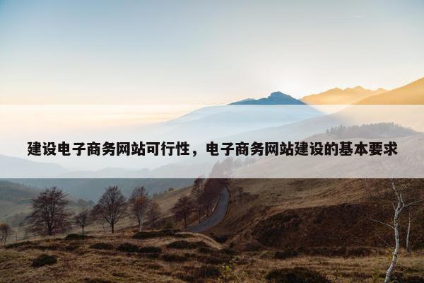 建设电子商务网站可行性，电子商务网站建设的基本要求