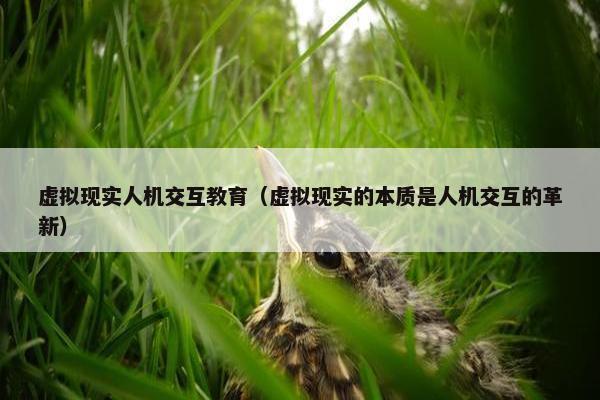 虚拟现实人机交互教育（虚拟现实的本质是人机交互的革新）