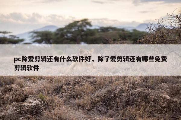 pc除爱剪辑还有什么软件好，除了爱剪辑还有哪些免费剪辑软件